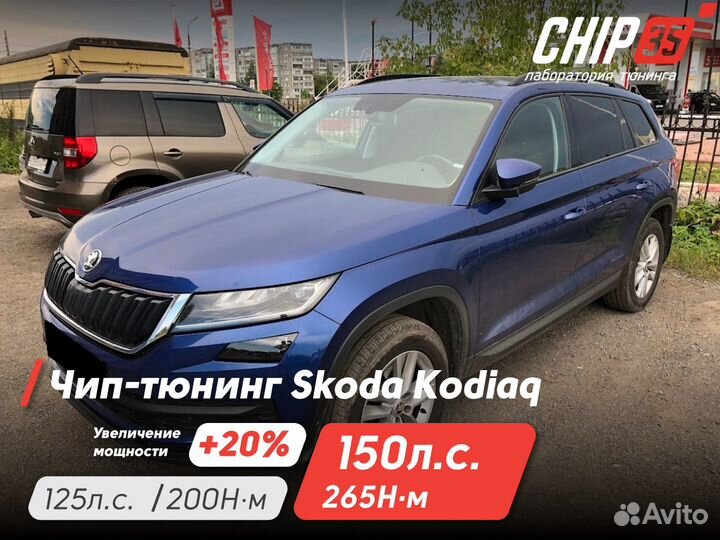 Профессиональный Чип-тюнинг Иномарок
