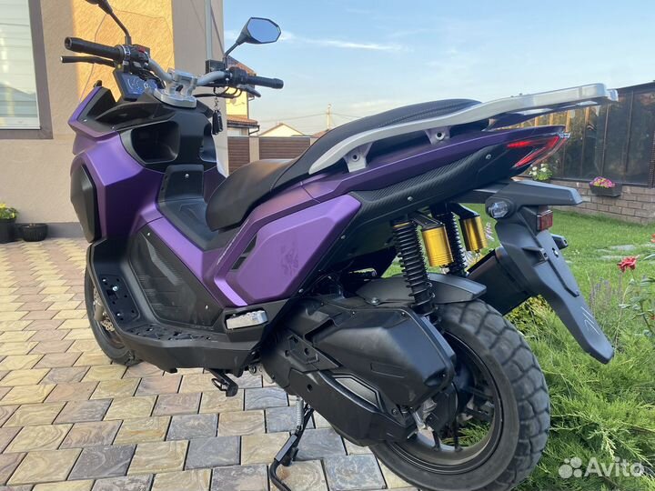 Леопард про