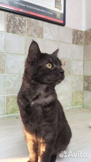 Молоденький мальчик