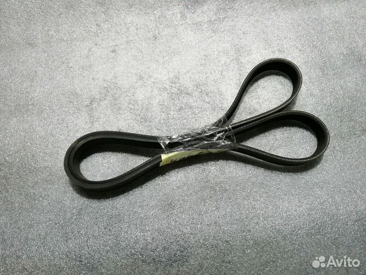 Ремень генератора dayco Ford Focus 2