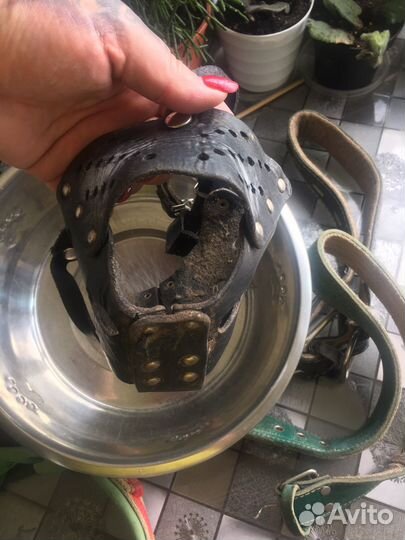 Ошейники, намордник, миска