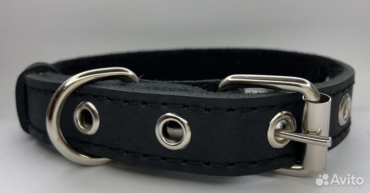 Ошейник для собак