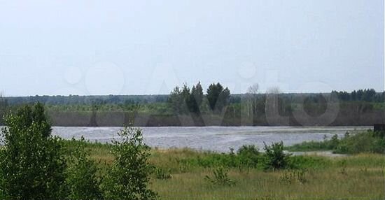 Участок 13,4 сот. (СНТ, ДНП)