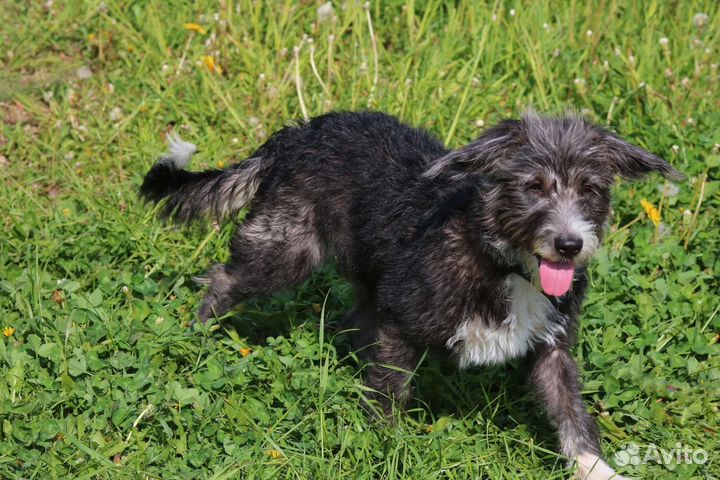 Малышка Маня