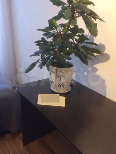 2-к. квартира, 41,5 м², 7/14 эт.