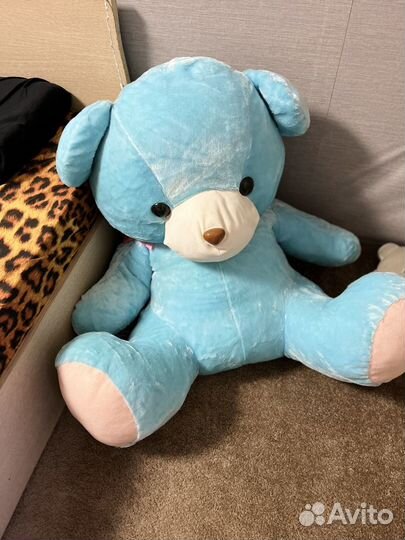 Плюшевый медведь