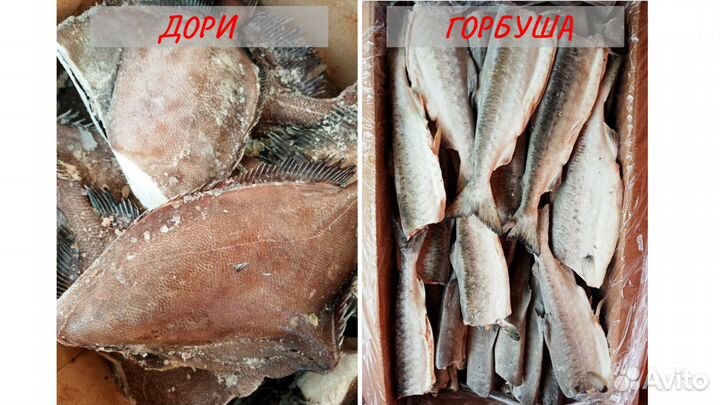 Рыба целая, филе, стейки