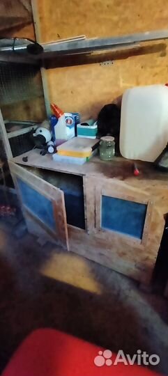 Клетки для перепелов бу