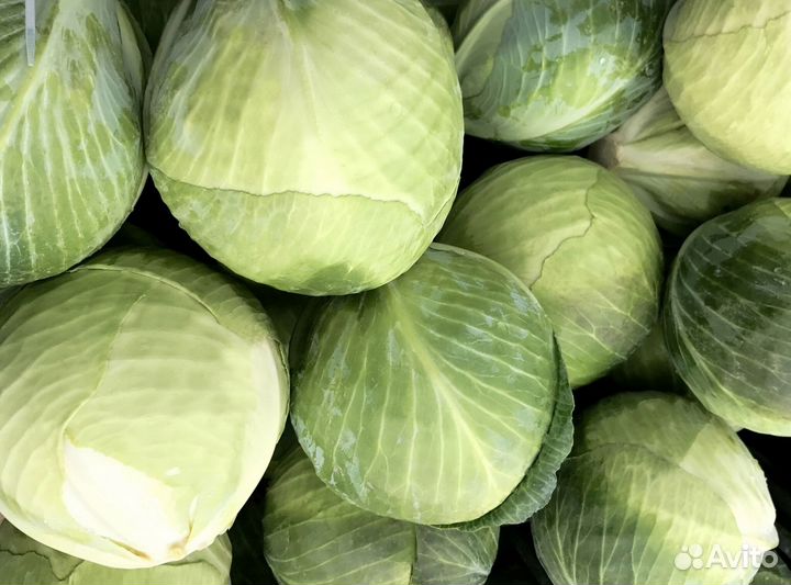 Доставка овощей