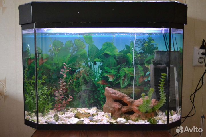 Аквариум 100 литров, с крышкой