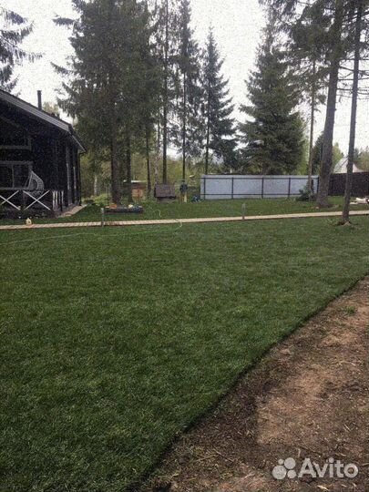 Рулонный газон