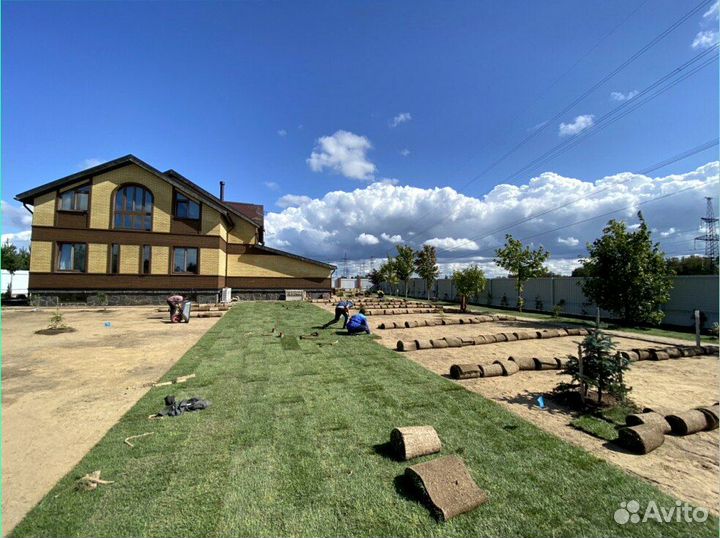 Рулонный газон