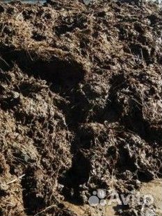 Конский навоз бесплатно