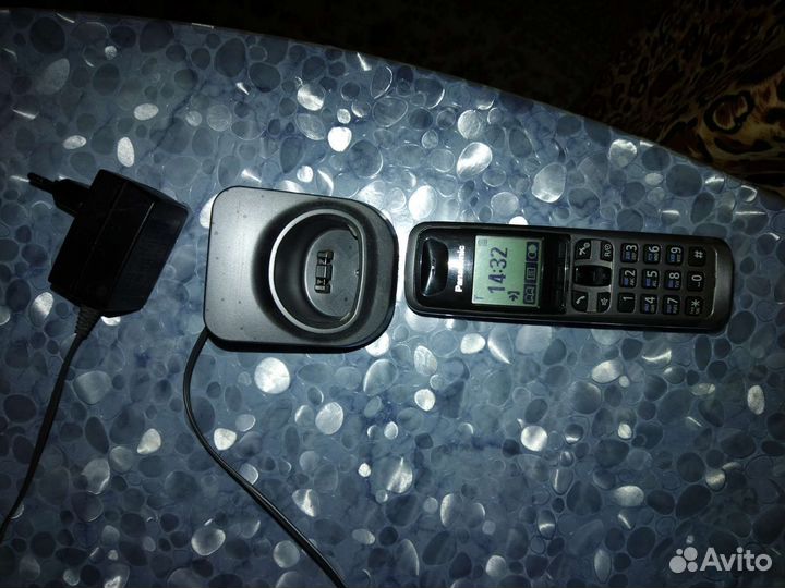 Panasonic