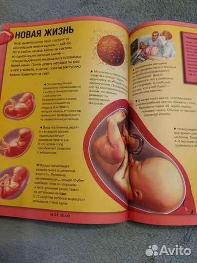 Энциклопедия для детей