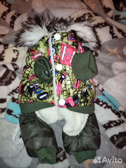 Комбинезон для маленькой собаки