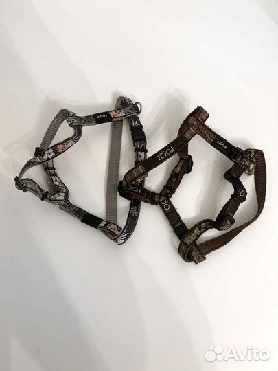 Правильная шлейка для собаки