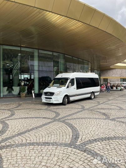 Ежедневные поездки на море