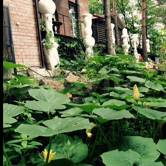 База отдыха