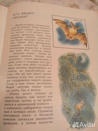 Кто они такие