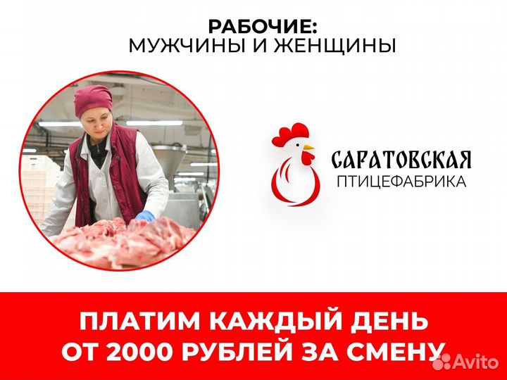 Разнорабочие На Птицефабрику Ежедневные Выплаты