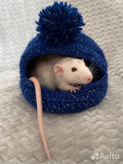 Гамак лежанка домик для крыс
