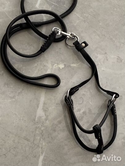 Поводок со шлейкой натур. кожа