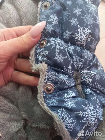 Жилетка для кошек и собак