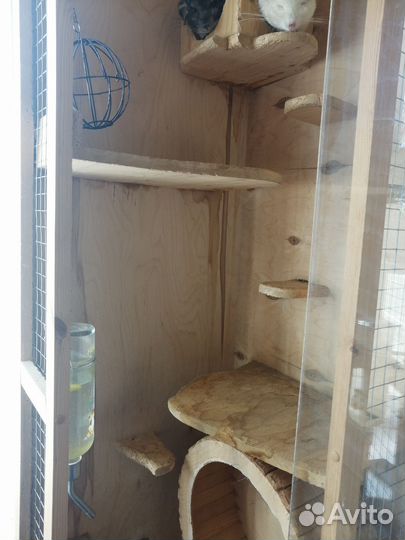 Витрина для шиншилл (б/у)