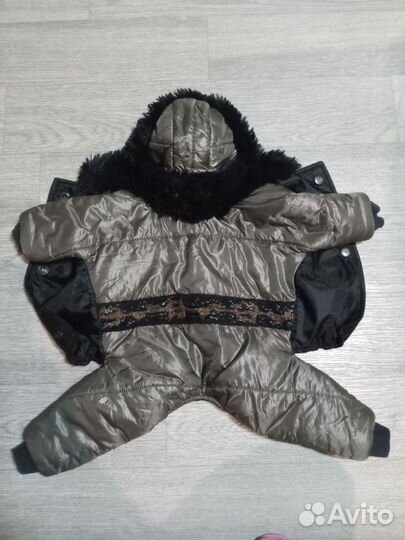 Одежда для маленьких собак