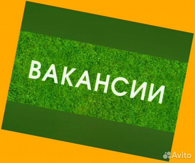 Фасовщик Еженедельные выплаты Хорошие условия