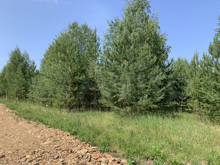 Участок 11 сот. (ИЖС)