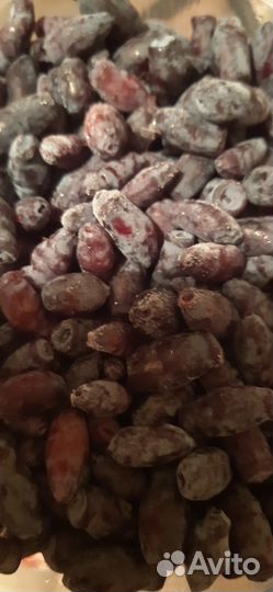 Жимолость в заморозке