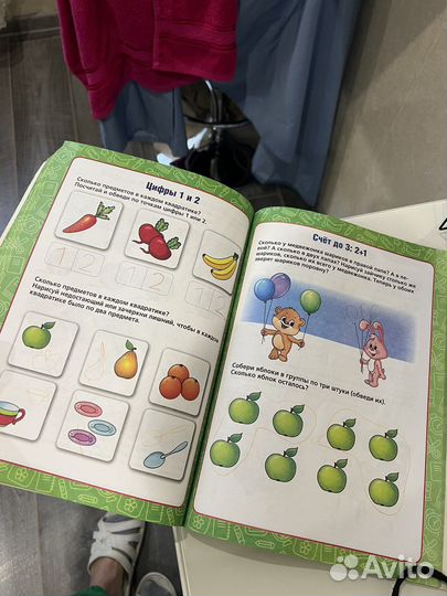 Годовой курс занятий Жуковой