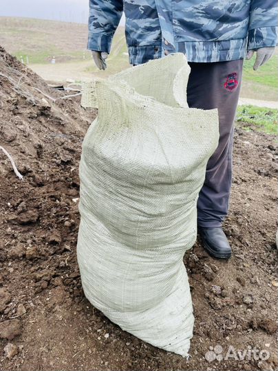 Перегной навоз коровий