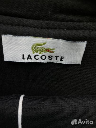 Мужской спортивный костюм Lacoste