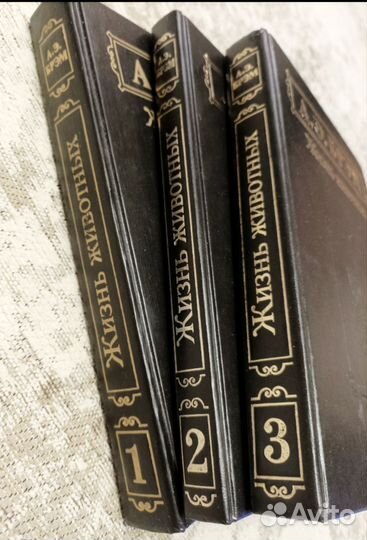 Книги. А.Брэм 