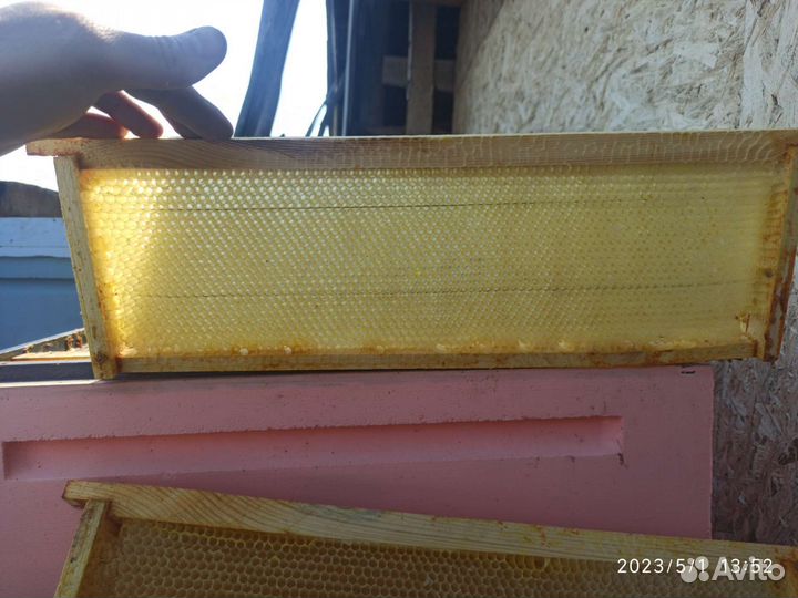 Сушь магазинная для пчел