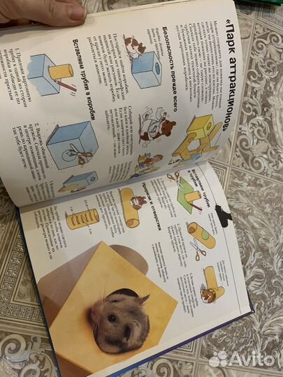 Книга для ухода за хомяком