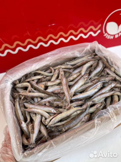 Мойва штучная заморозка