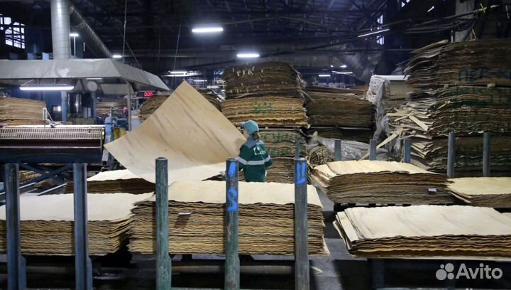 Сортировщик шпона и фанеры вахта