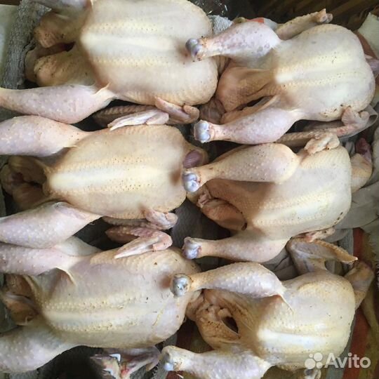 Продам тушку домашней курицы