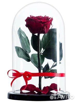 Вечная роза в колбе 27см