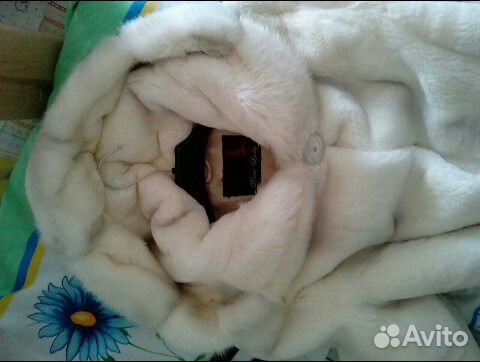 Шуба