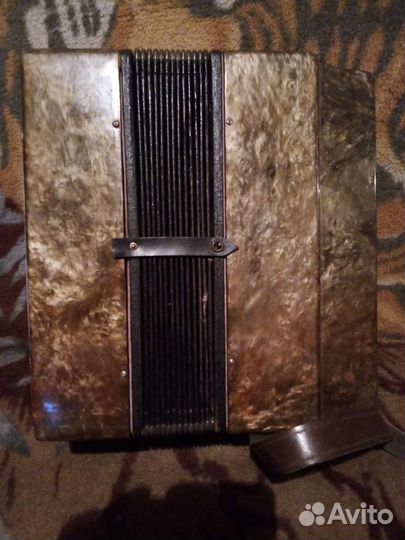 Гармонь кубань. Балалайка