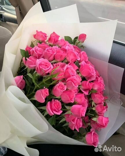 Роза кустовая