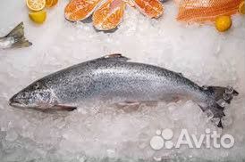Семга свежемороженная