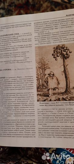 Литературная и математическая энциклопедии