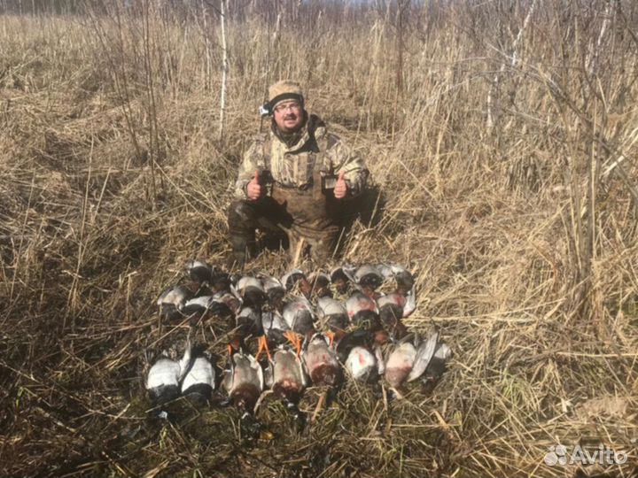 Научу за одно занятие На манках на утку или гуся