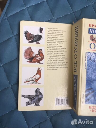 Книга Все о голубях Бондаренко